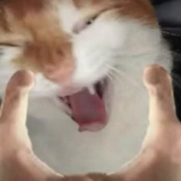 Sleepr089's avatar