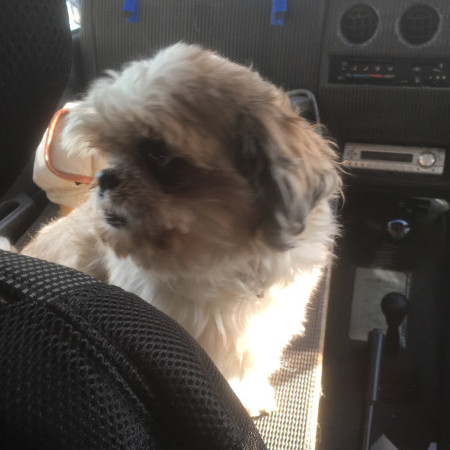 tutututuna's avatar