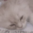 mika_M's avatar