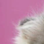 Nanashi4649's avatar