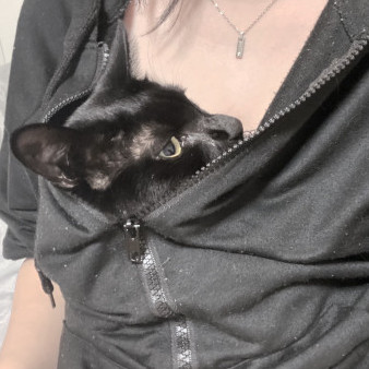 takochan4545's avatar
