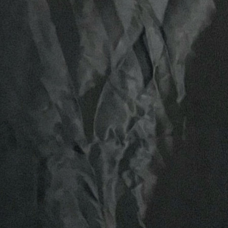 shashasha826's avatar