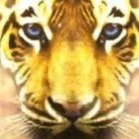 Agpjtdm_m's avatar