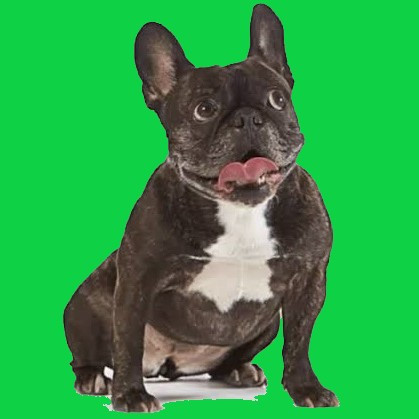 yamadadokaben31's avatar