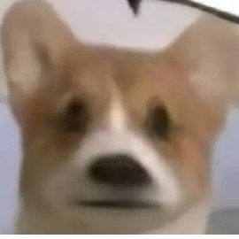 wzdhhk's avatar