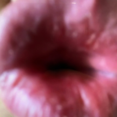 qpqoqi's avatar