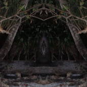 kpj_6's avatar