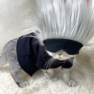 thunchin0620's avatar