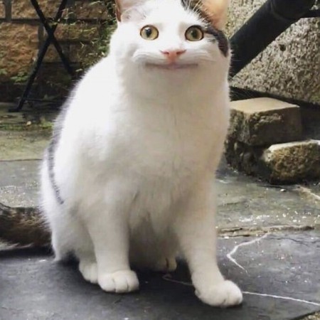 omeme's avatar