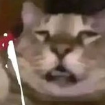 timmyqq1239487's avatar