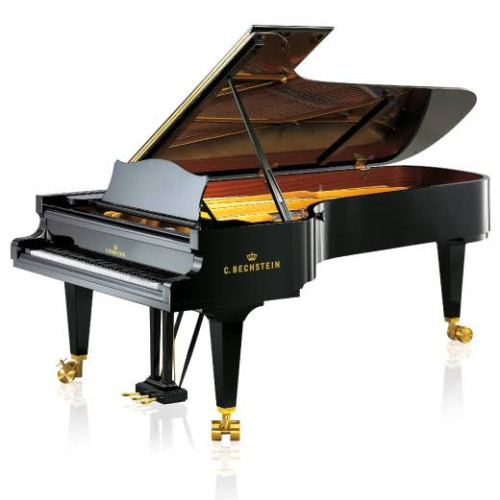 Bechstein's avatar