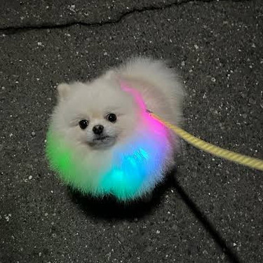 namls's avatar