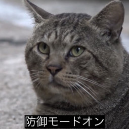 takatsuzikyo's avatar