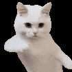 uwulmol's avatar