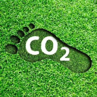 Carbonfootprint's avatar