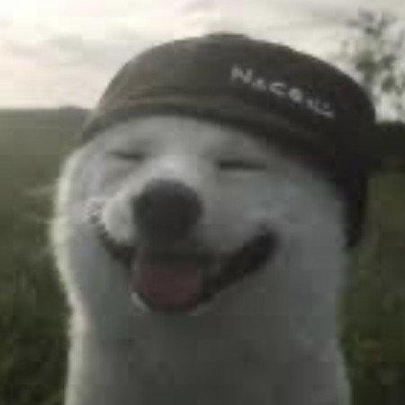 chako0129's avatar