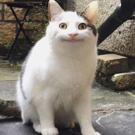ringo5555's avatar