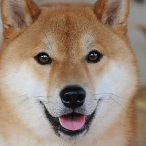 minanaiii23's avatar