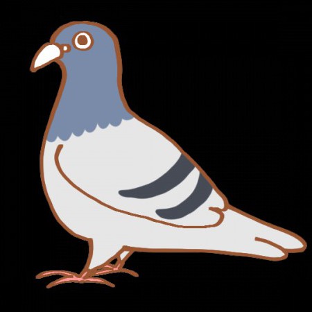 pigeon_810's avatar