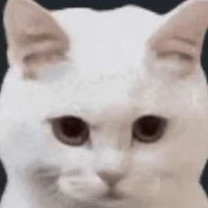 GGININDER168's avatar