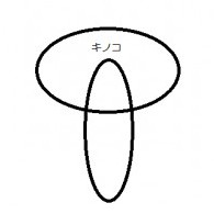 TYAKI's avatar