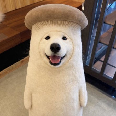 afugaki042918's avatar