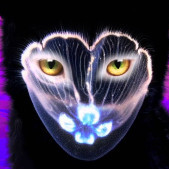 drop1053's avatar