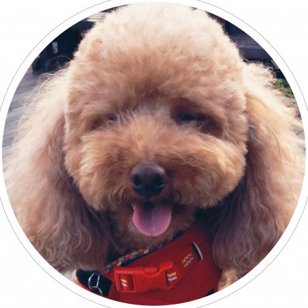 ce28801110's avatar
