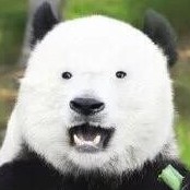 de00230723's avatar