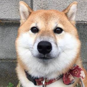ponchanchan's avatar