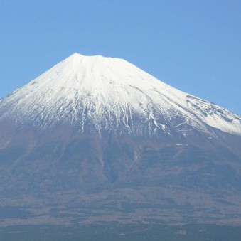 h010ytokyo's avatar