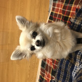 gohann321's avatar