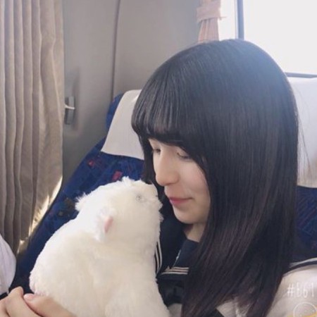 firefoxes's avatar