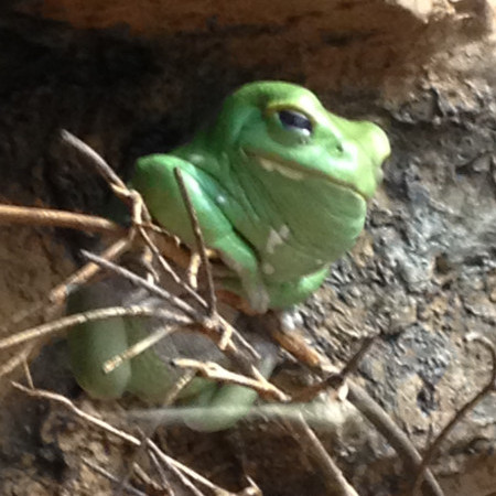 dewdrop1214's avatar