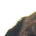 winkoffence's avatar