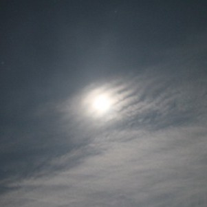 tktksskssk's avatar