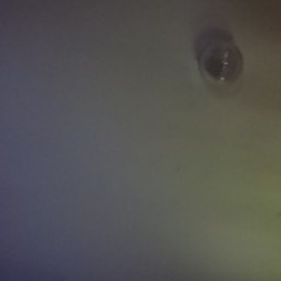 zxc7788978978's avatar