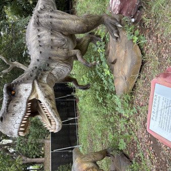 konitaso1020's avatar