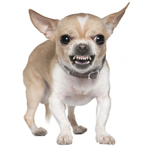 xsm0350's avatar