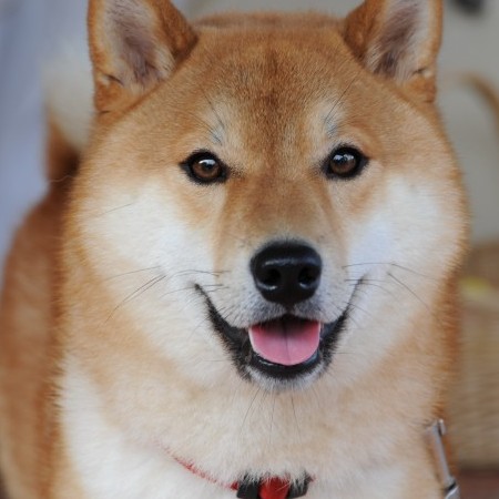 KAHKUN's avatar