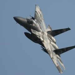 VF1's avatar