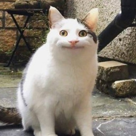 DragonAmano's avatar