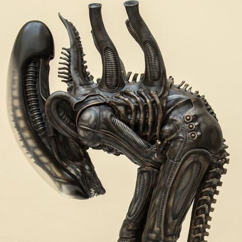 pokopoko218's avatar