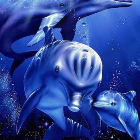 mare's avatar