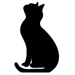 Elevation's avatar