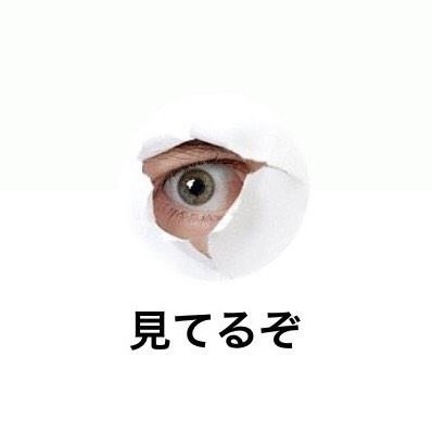 nippontarou's avatar