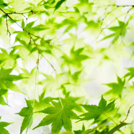 death_star_ver2's avatar