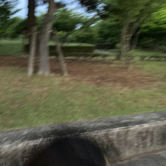 hayashida_fumi's avatar