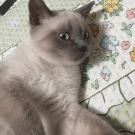 xiaoyao23333's avatar