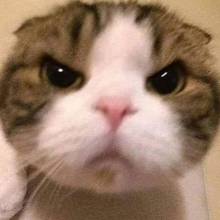 kkrnitmammykkr's avatar